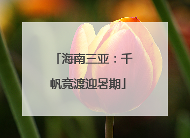 海南三亚：千帆竞渡迎暑期