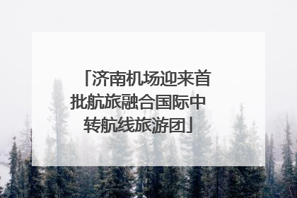 济南机场迎来首批航旅融合国际中转航线旅游团