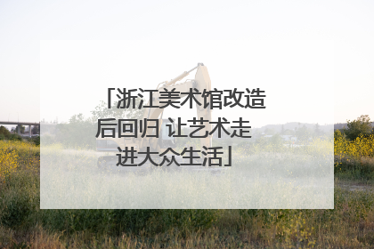 浙江美术馆改造后回归 让艺术走进大众生活