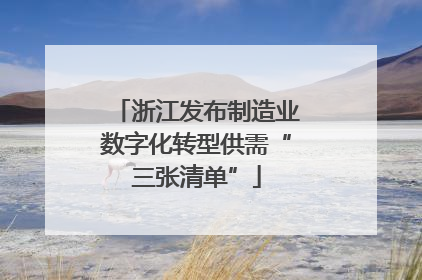 浙江发布制造业数字化转型供需“三张清单”