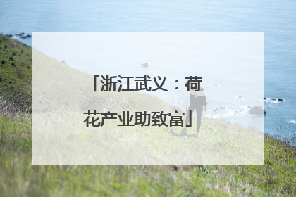 浙江武义：荷花产业助致富