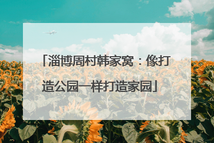 淄博周村韩家窝：像打造公园一样打造家园