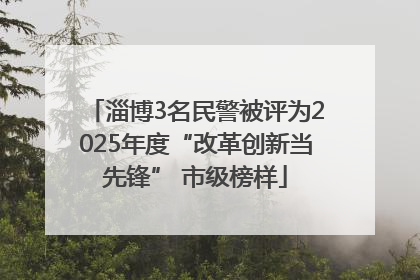 淄博3名民警被评为2025年度“改革创新当先锋” 市级榜样