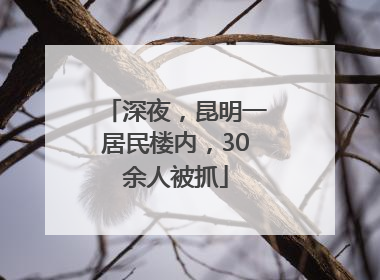 深夜，昆明一居民楼内，30余人被抓