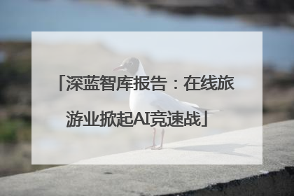 深蓝智库报告：在线旅游业掀起AI竞速战