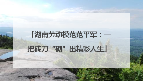 湖南劳动模范范平军：一把砖刀“砌”出精彩人生