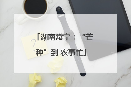 湖南常宁：“芒种”到 农事忙