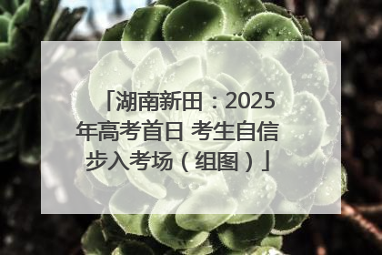 湖南新田：2025年高考首日 考生自信步入考场（组图）