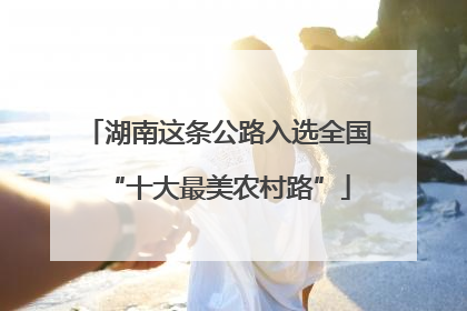 湖南这条公路入选全国“十大最美农村路”