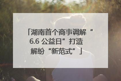 湖南首个商事调解“6.6 公益日”打造解纷“新范式”