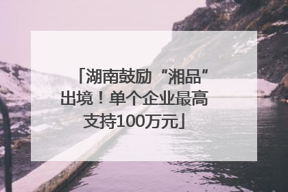 湖南鼓励“湘品”出境！单个企业最高支持100万元