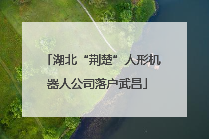 湖北“荆楚”人形机器人公司落户武昌