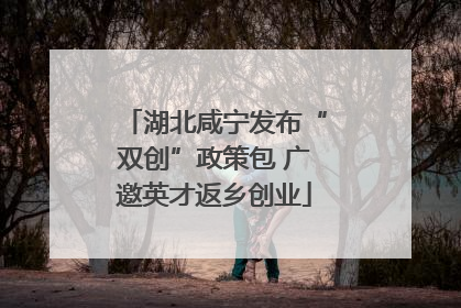 湖北咸宁发布“双创”政策包 广邀英才返乡创业