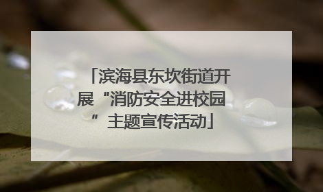 滨海县东坎街道开展“消防安全进校园”主题宣传活动
