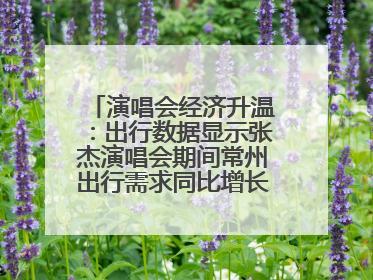 演唱会经济升温：出行数据显示张杰演唱会期间常州出行需求同比增长319%