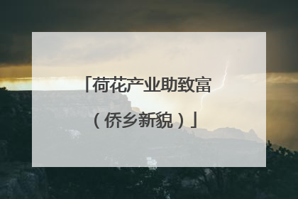 荷花产业助致富（侨乡新貌）