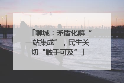 聊城：矛盾化解“一站集成”，民生关切“触手可及”