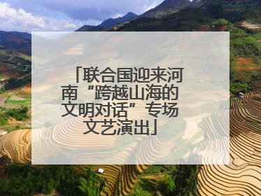 联合国迎来河南“跨越山海的文明对话”专场文艺演出