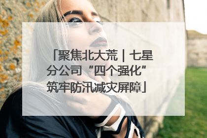 聚焦北大荒｜七星分公司“四个强化”筑牢防汛减灾屏障