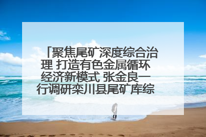 聚焦尾矿深度综合治理 打造有色金属循环经济新模式 张金良一行调研栾川县尾矿库综合治理工作