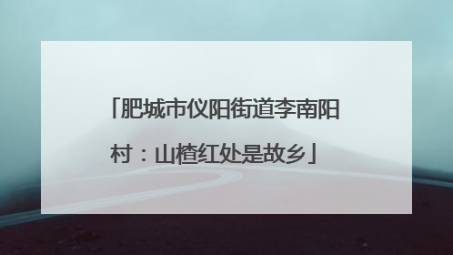 肥城市仪阳街道李南阳村：山楂红处是故乡
