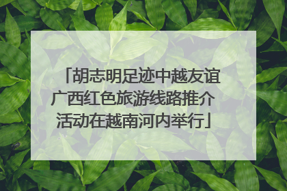 胡志明足迹中越友谊广西红色旅游线路推介活动在越南河内举行