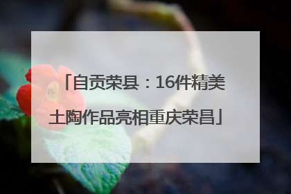 自贡荣县：16件精美土陶作品亮相重庆荣昌