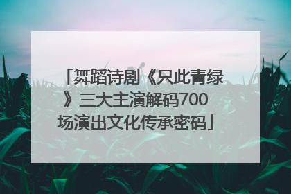 舞蹈诗剧《只此青绿》三大主演解码700场演出文化传承密码