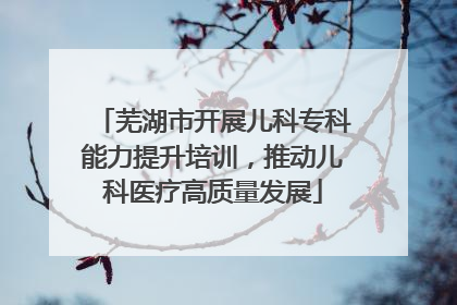 芜湖市开展儿科专科能力提升培训，推动儿科医疗高质量发展