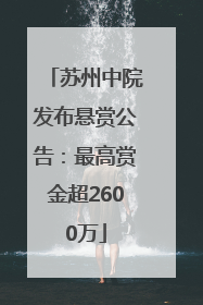 苏州中院发布悬赏公告：最高赏金超2600万