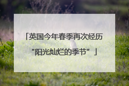 英国今年春季再次经历“阳光灿烂的季节”
