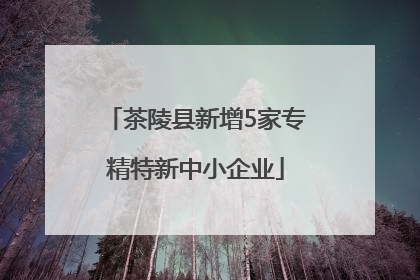 茶陵县新增5家专精特新中小企业