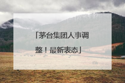 茅台集团人事调整！最新表态