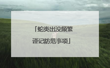 蛇类出没频繁 谨记防范事项