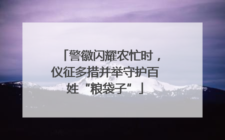 警徽闪耀农忙时，仪征多措并举守护百姓“粮袋子”