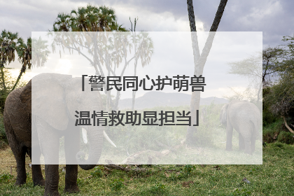 警民同心护萌兽 温情救助显担当