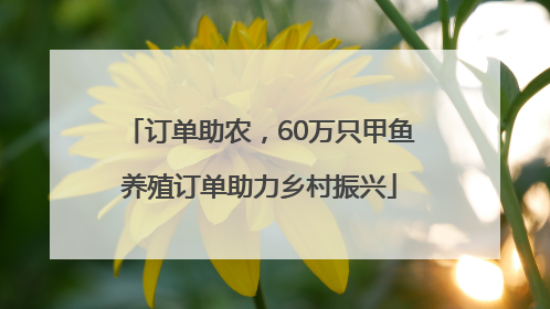 订单助农，60万只甲鱼养殖订单助力乡村振兴