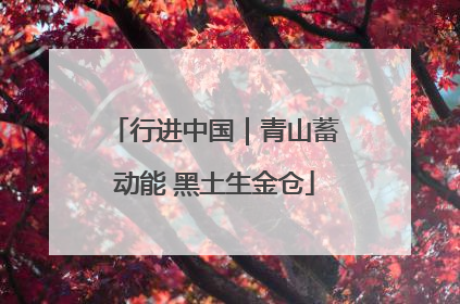 行进中国｜青山蓄动能 黑土生金仓