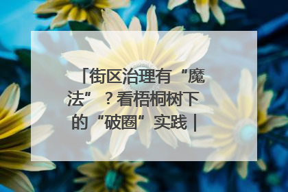街区治理有“魔法”？看梧桐树下的“破圈”实践｜我在街区当书记