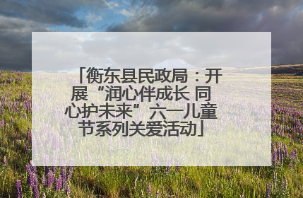 衡东县民政局：开展“润心伴成长 同心护未来”六一儿童节系列关爱活动