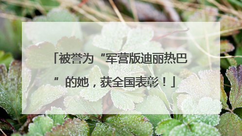 被誉为“军营版迪丽热巴”的她，获全国表彰！