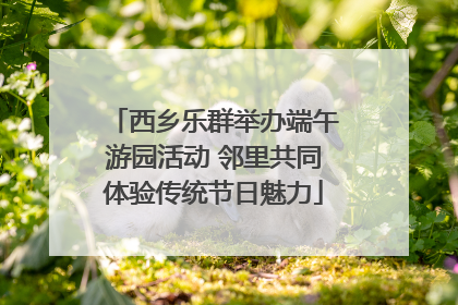 西乡乐群举办端午游园活动 邻里共同体验传统节日魅力