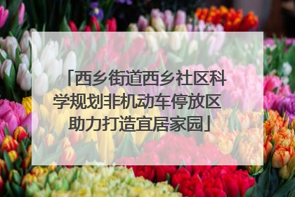 西乡街道西乡社区科学规划非机动车停放区 助力打造宜居家园
