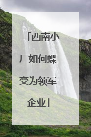 西南小厂如何蝶变为领军企业