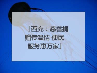 西充：慈善捐赠传温情 便民服务惠万家
