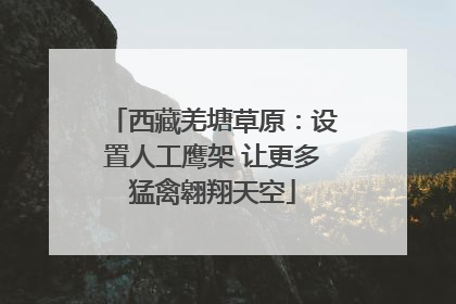 西藏羌塘草原：设置人工鹰架 让更多猛禽翱翔天空