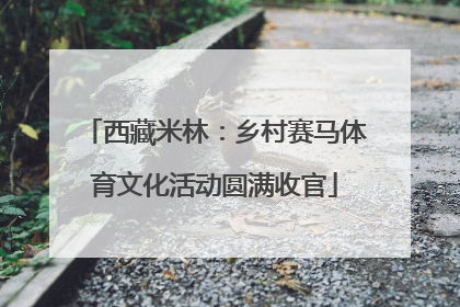 西藏米林：乡村赛马体育文化活动圆满收官