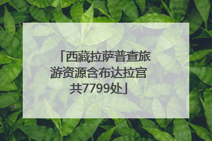 西藏拉萨普查旅游资源含布达拉宫共7799处
