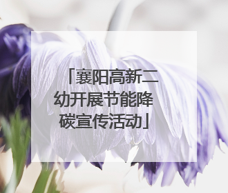 襄阳高新二幼开展节能降碳宣传活动