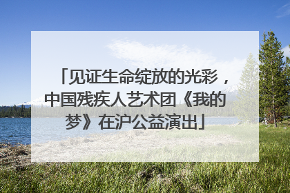 见证生命绽放的光彩，中国残疾人艺术团《我的梦》在沪公益演出
